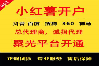 案例分析：高效信息流广告投放策略